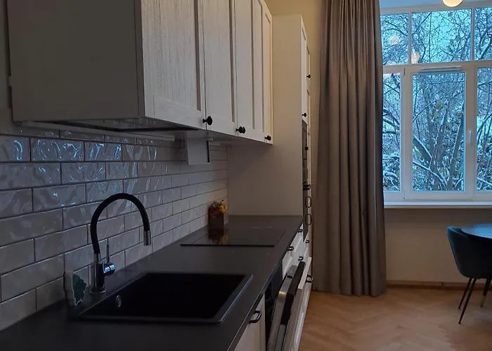 דירה Vyduno Apartamentai 10 קובנה